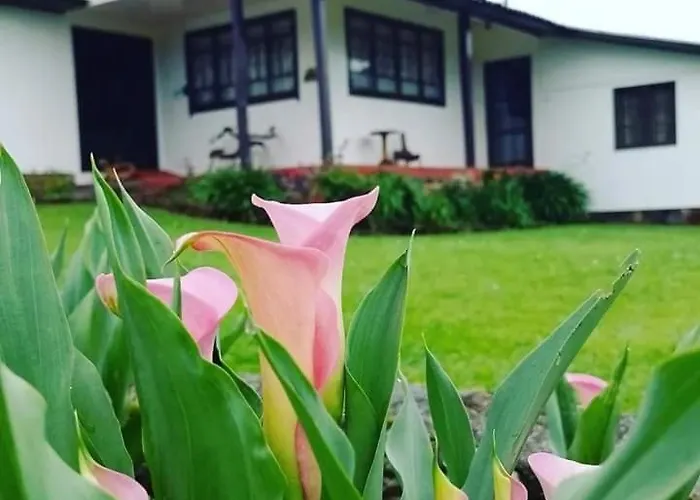 Pousada Morro Grande